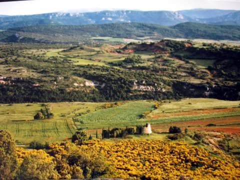 The rolling hills of Languedoc Roussillon