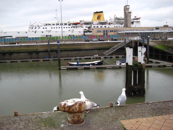Canal in Ostend Belgium with large ship in the backgrund and sea gulls in the foreground