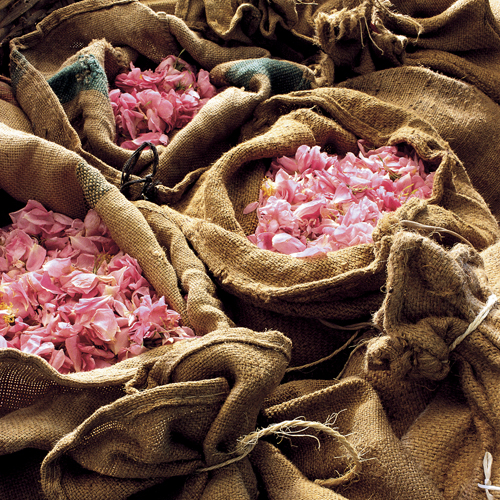 jute bags of pink rose pedals