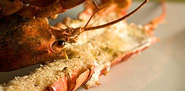 Sardinian lobster