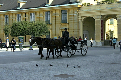 carriage-ride