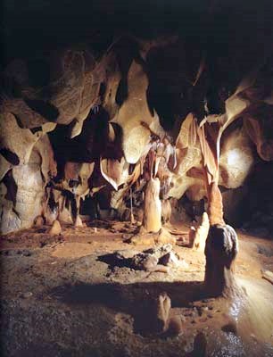 Chauvet Pont d'Arc Cave