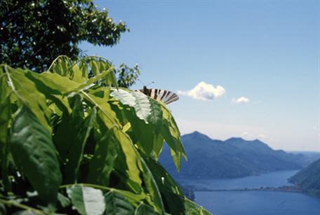 Bre  on lake Lugano