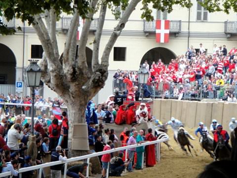 Horses racing in one of three heats before the final asti Palio race