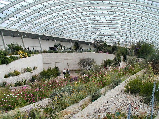National Botanic Garden of Wales Inside the Great Glasshouse - Chris J Dixon
