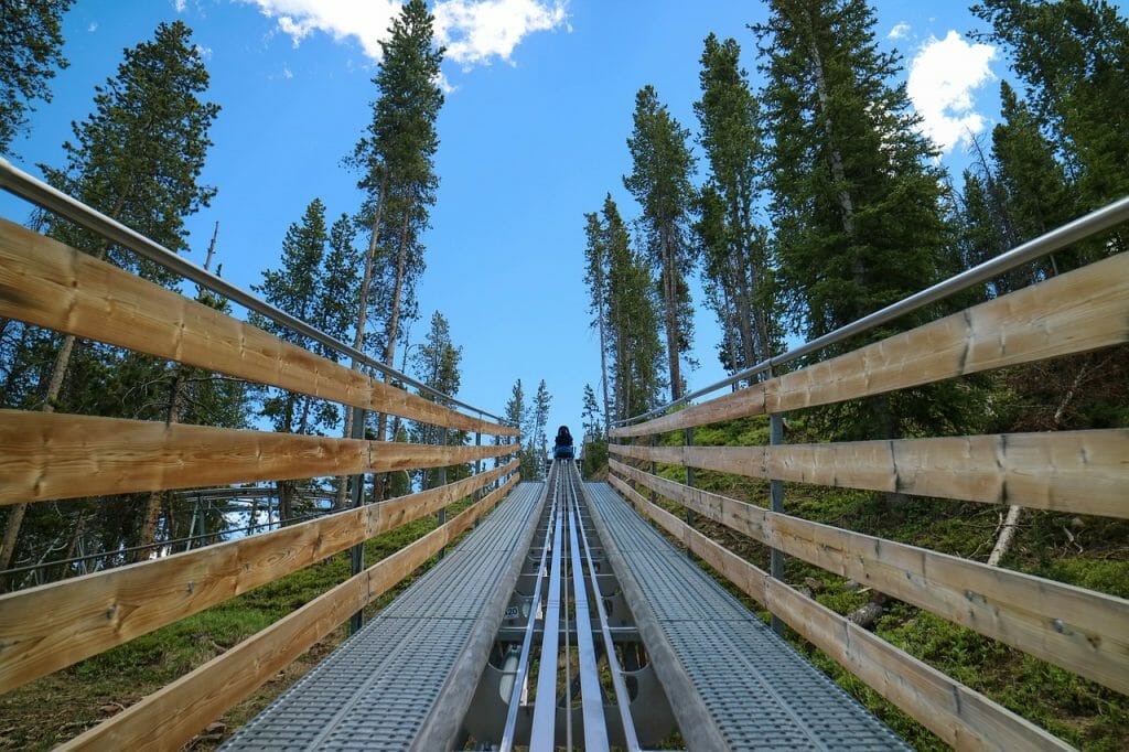 Alpine Coaster rails going through the woods