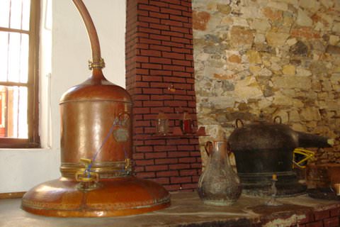 Naxos Kitron distillery
