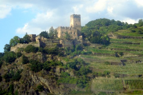 Castle and Vineyards