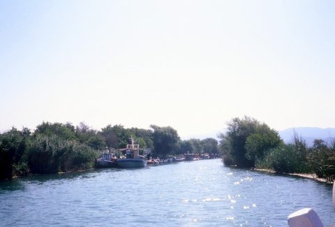 The River Acheron