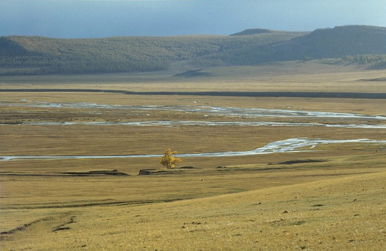 Mongolian Steppe - Wikipedia