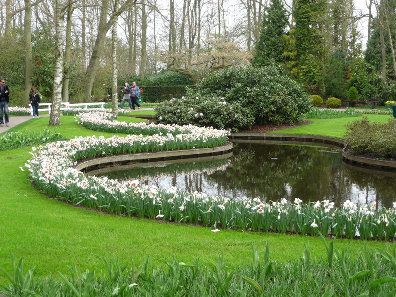 A Narcissus Path