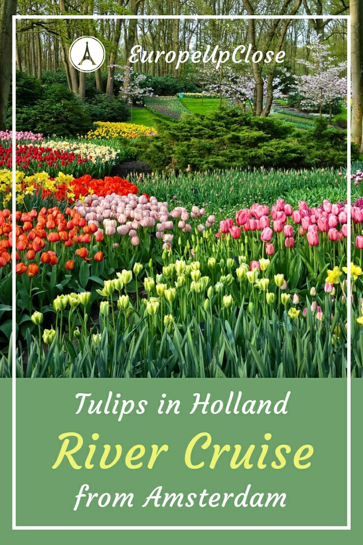 Tulips in Holland - Spring River Cruise from Amsterdam #Amsterdam #Holland #Netherlands #tulips #spring #rivercruise #Cruise #cruising #travel #traveling #Europe #europetravel #Europecruise #Cruising #traveling #traveler #keukenhof #tulipbloom #flowers #Tulip #tulips