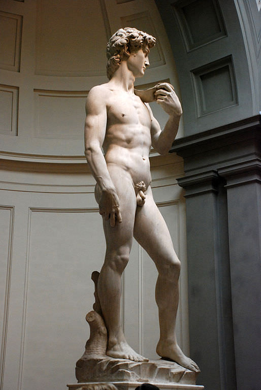 Michelangelo's David at the Academia