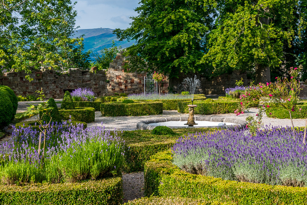 White gravel pathways meander through the Ruthin castle grounds, separating circular arrangements of brightly colored flowers and purple lavender blooms