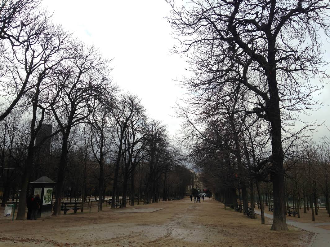 Wintery day at Jardin du Luxemberg