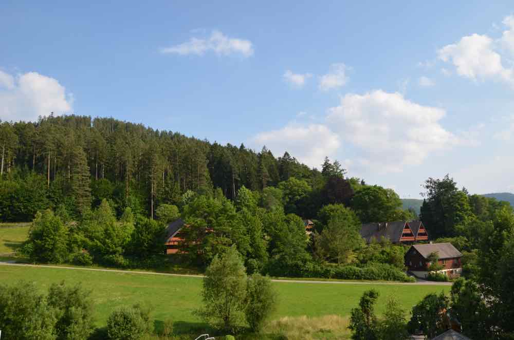 Another view of theBlack Forest with farm houses, forest, and fields