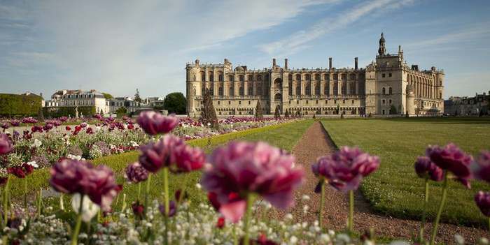 The Chateau de St Garmain en Laye in the background and large purple flowers in the foreground of Saint Germain en Laye
