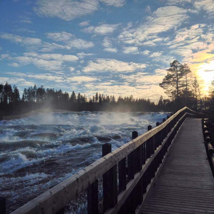 The raging waters of Storforsen Falls in Northern Sweden
