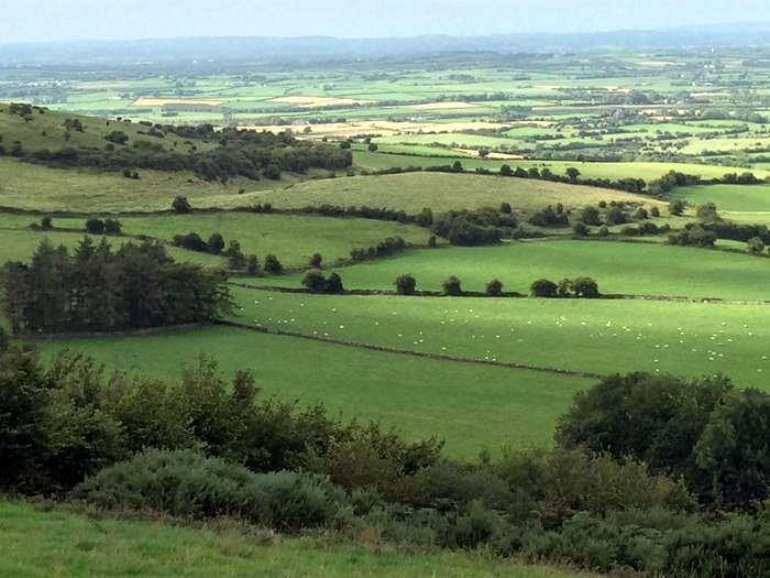 The green fields of Ireland