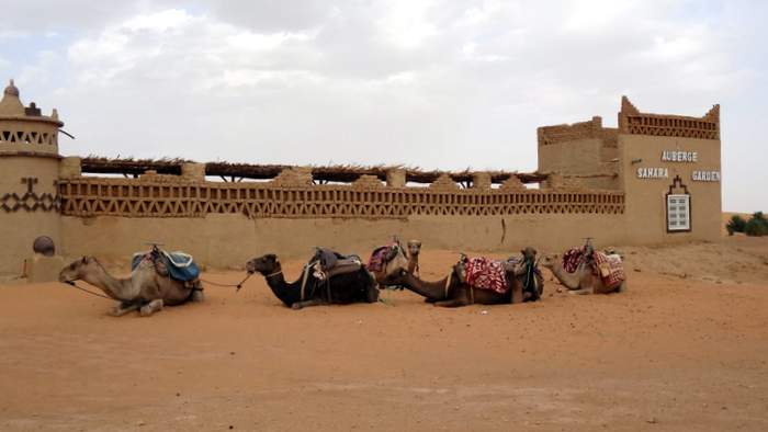 Our rides await outside our hotel in the sahara