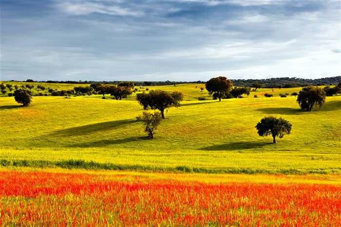 Let your spring travel in Europe take you to Alentejo portugal