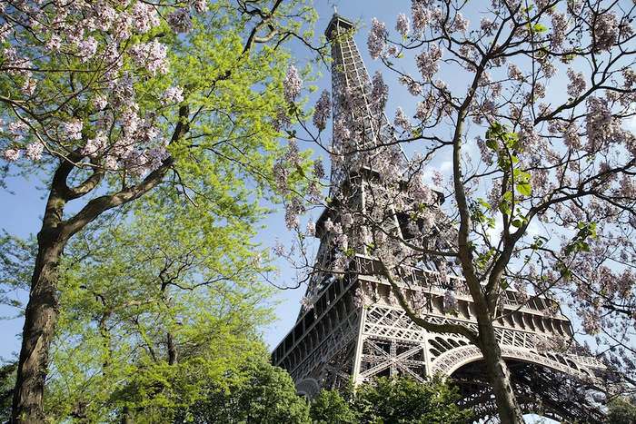 Paris a great spot for Spring Travel in Europe