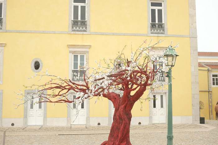 Red tree at Cidadela Art District