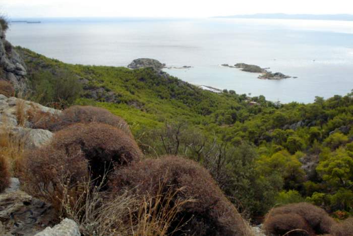 View from the Cave of Euripides on Salamania Island
