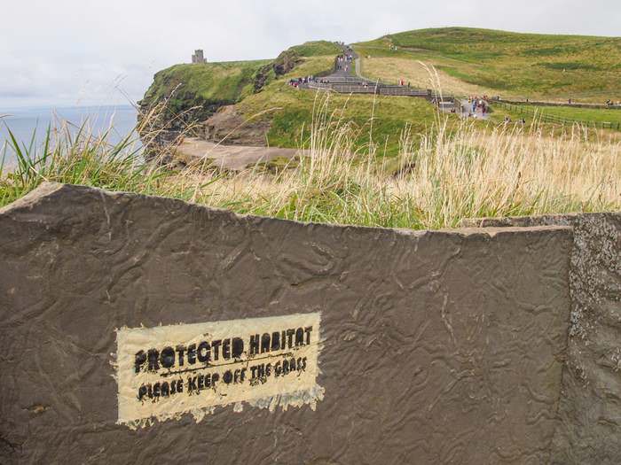 Protected habitat, Cliffs of Moher