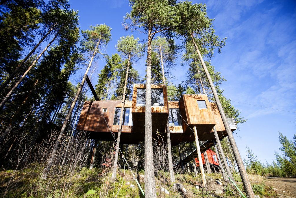 Best room in the Tree hotel in Sweden: Dragonfly room