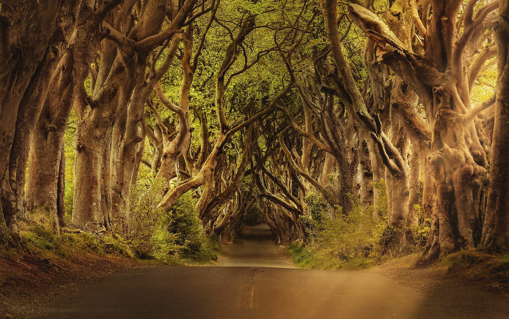 Game of Thrones Tours Belfast- Nothern Ireland Game Of Thrones Excursion