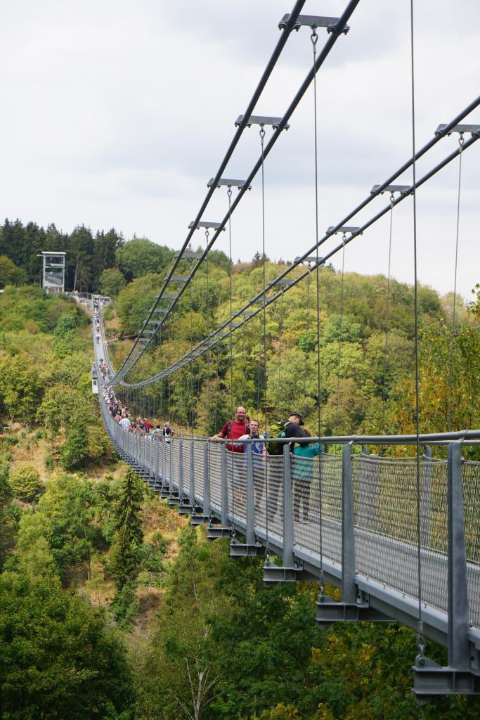 suspension bridge at Harzadrenalin Saxony-Anhalt - Harz Mountains