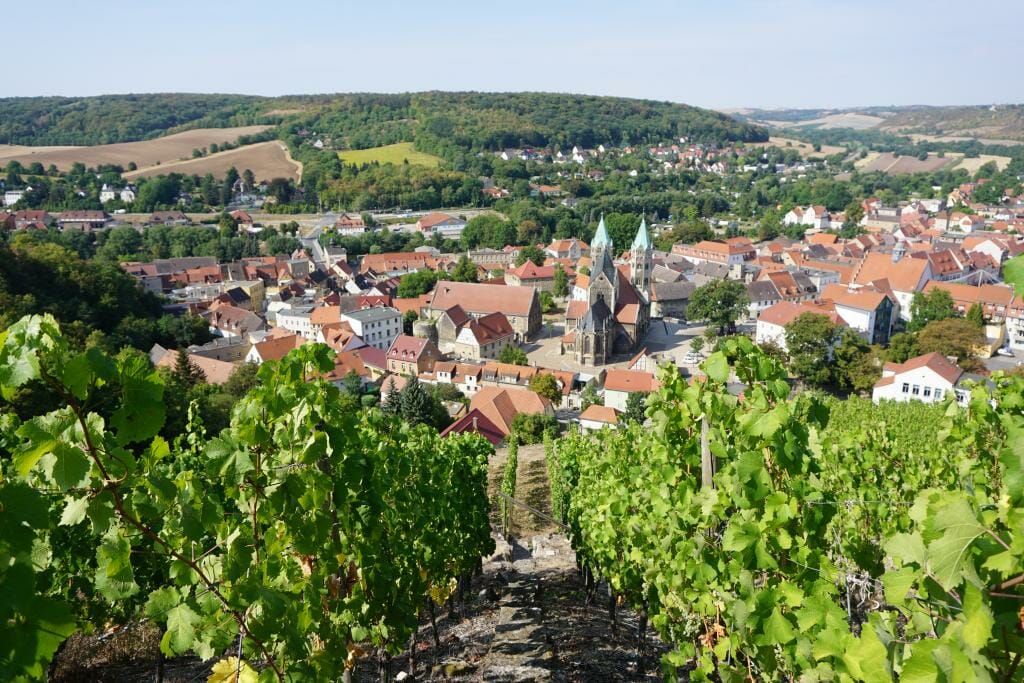vineyard Freyburg Saxony-Anhalt - TRANSROMANICA