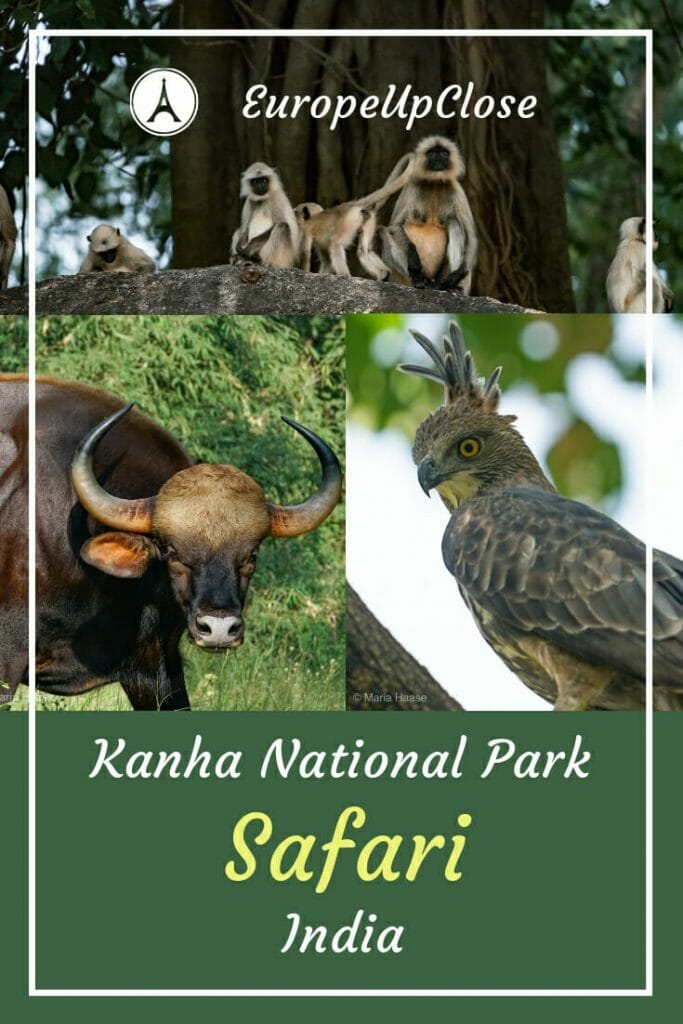 Kanha National Park - Madhya Pradesh (eBook) – Kunzum Books