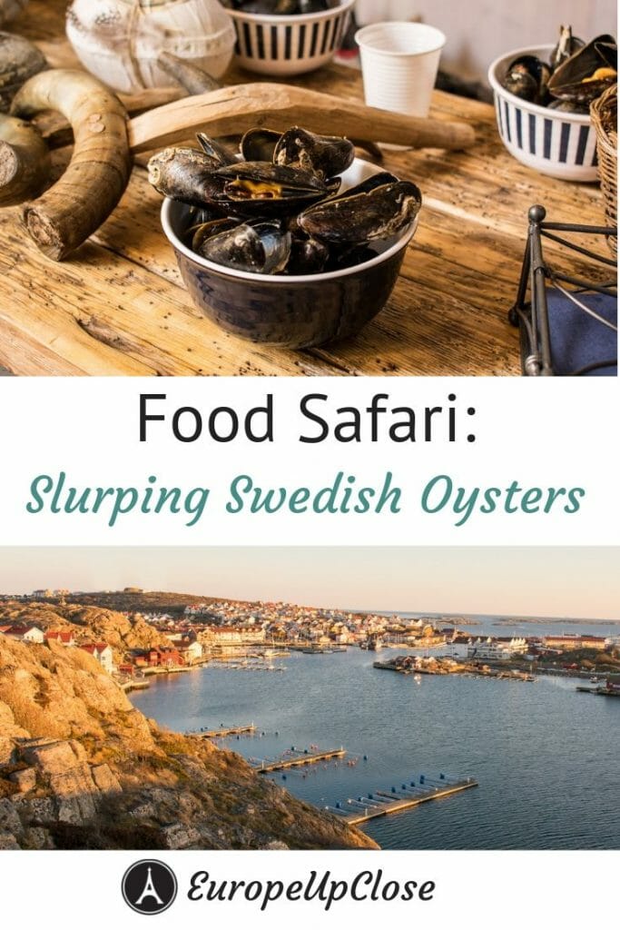 Bowl of fresh mussels on top and Swedish coast on the bottom