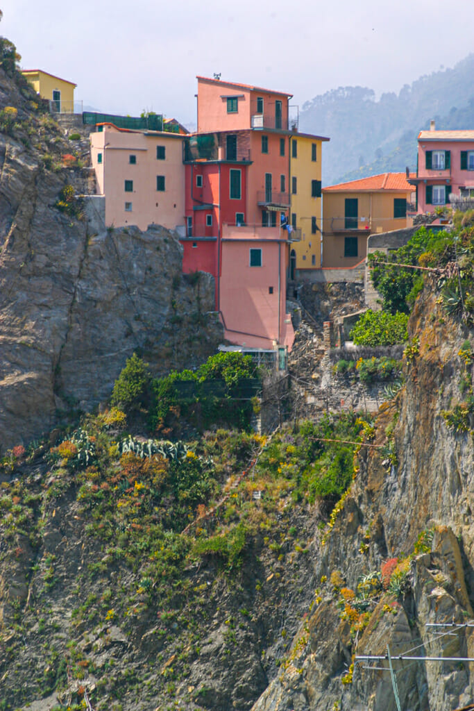 Colorful houses on the backside of the hills of Manarola.