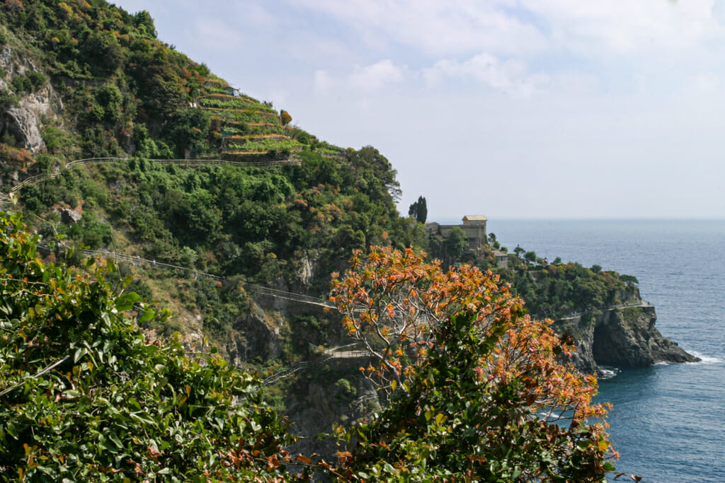 The trail winds down the hillside through terraced fields in the Cinque Terre and made over hundreds of years by the residents who trekked from one town to another. In some places it is a mule track, as that is how they transport some of their goods even today.