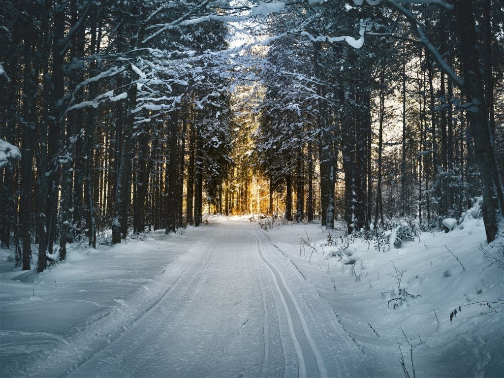 Cross country ski route generously dusted with snow, lined with snowy trees with a sunset in the distance