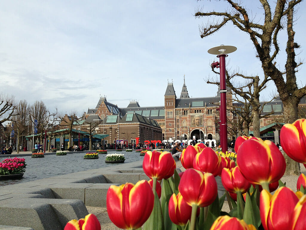 Red and yellow flowers peeking out over the view of the Van Gogh museum building