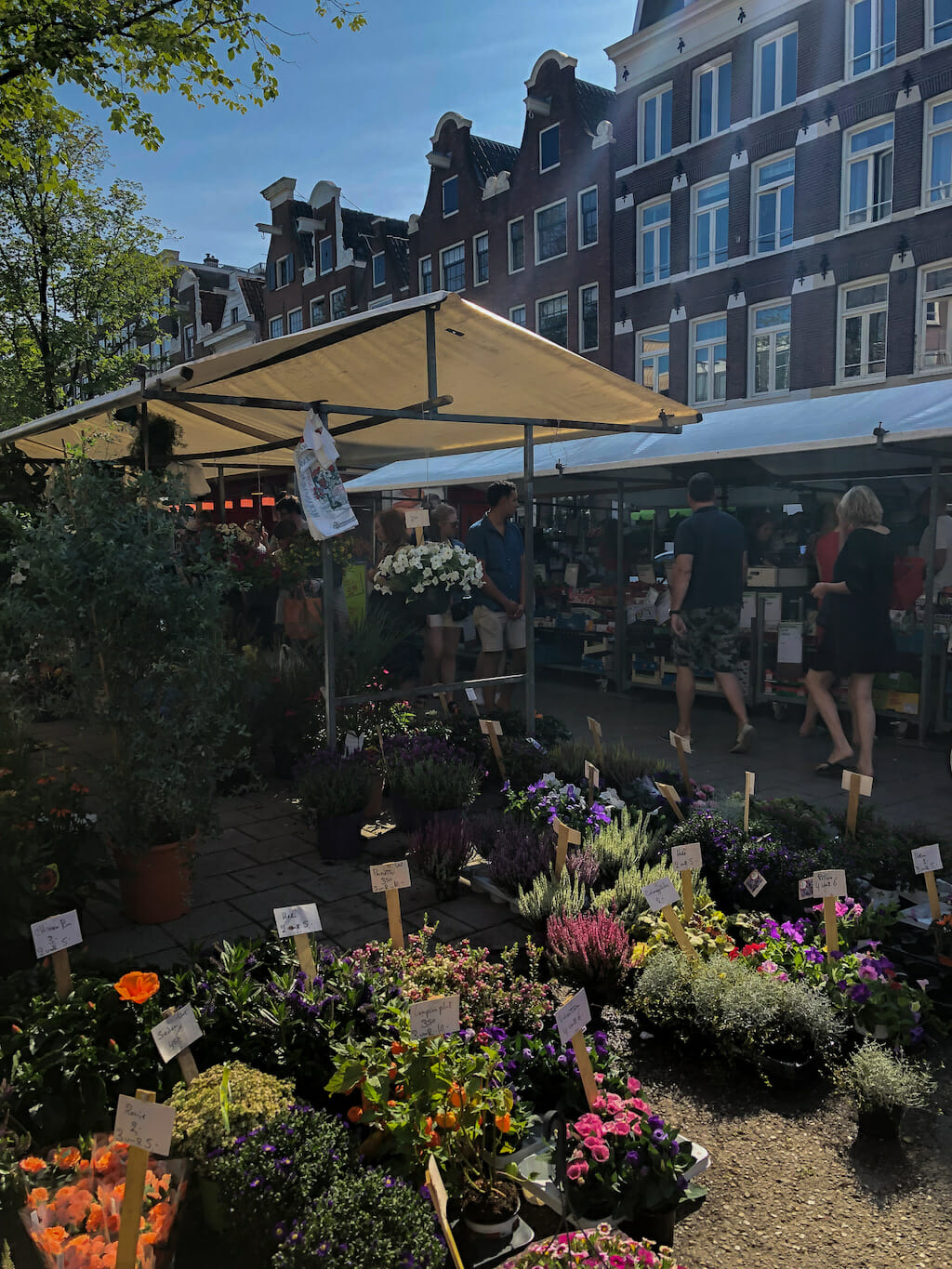 A lush of a plethora of potted plants clumped together in a street market booth in Amsterdam