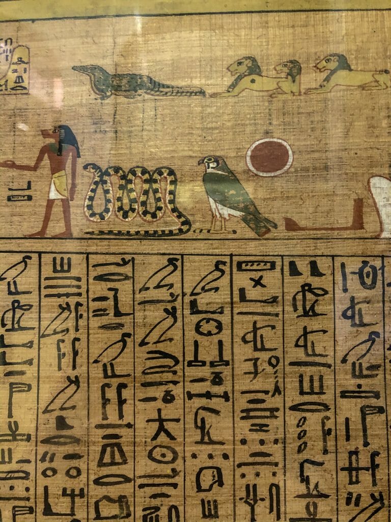 Papyrus with Egyptian Hieroglyphs written on them 
