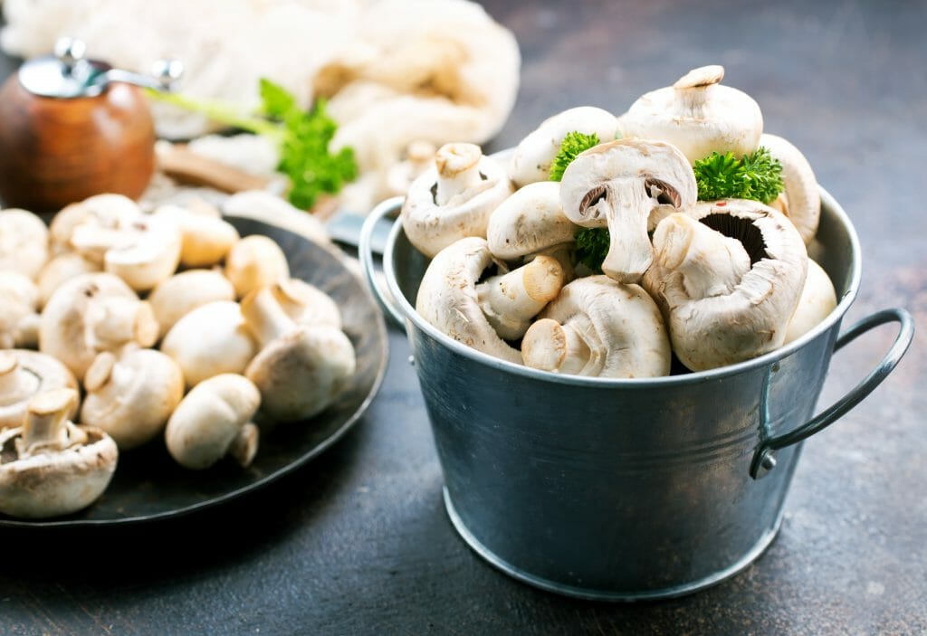 white champignon mushrooms in a small bucket and on a plate on a table