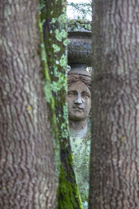 Stone sculpture Ceres with fruit basket on her head photographed between two tree trunks