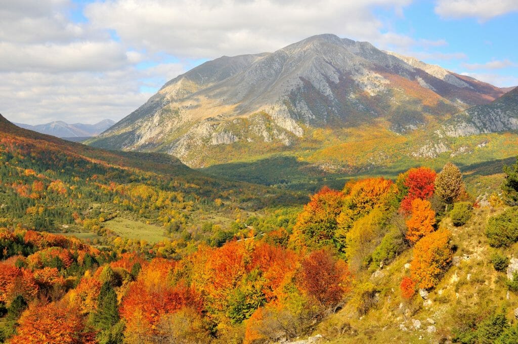 Fall foilage at Parco Nazionale d' Abruzzo in Italy