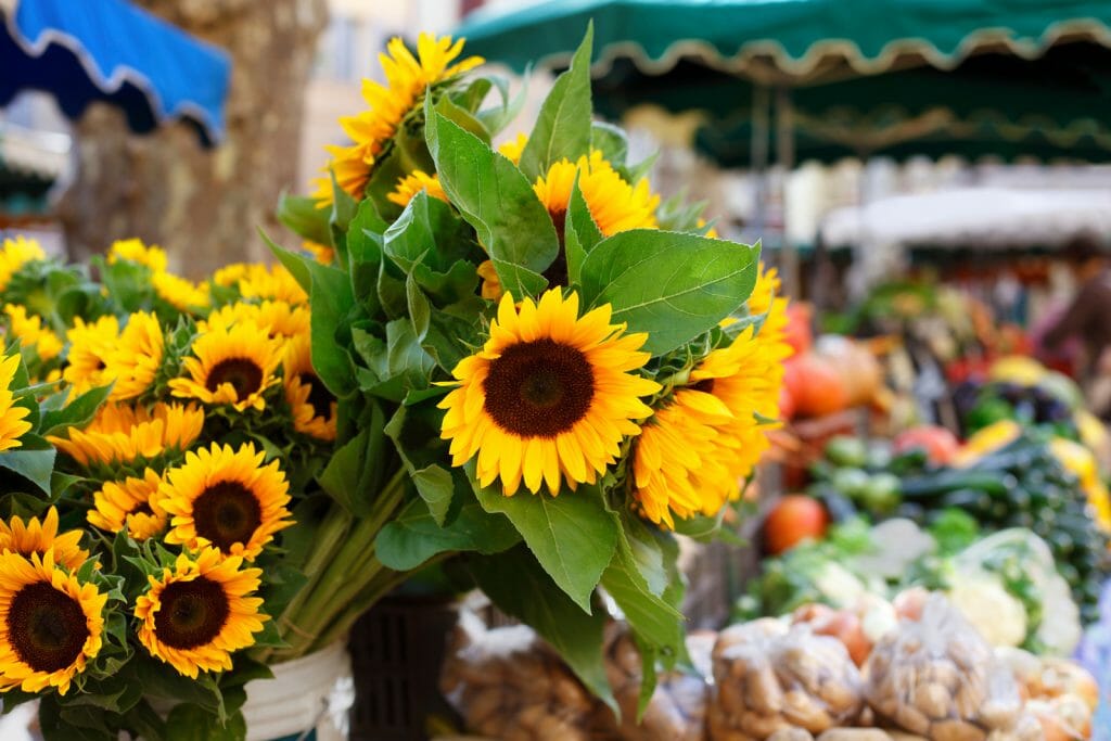 Farmers market in Seville Spain with vegetables and sunflowers.