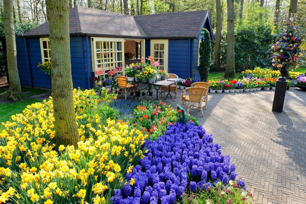 Blue wood cabin surrounded by trees - "Flower shop in Keukenhof Gardens, Lisse, Netherlands"