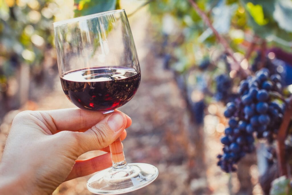 wine tasting, degustation, hand holding a glass in wineyard