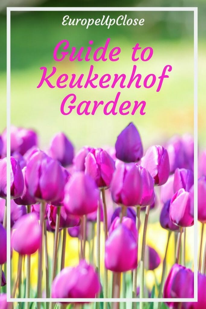 Keukenhof Tickets - Keukenhof Garden Guide -  Plan your visit to Keukenhof Gardens with this helpful Guide to Keukenhof Gardens, Holland - What to do at Keukenhof Gardens - Where to Stay near Keukenhof Gardens - What to do at Keukenhof Gardens #Keukenhof #Keukenhofgardens #Holland #Netherlands #tulips #flowers #spring #springtime #flowerbeds #springtravel #bloom #europetrip #springtravel #Amsterdam #Europetravel #europetrip #europeupclose