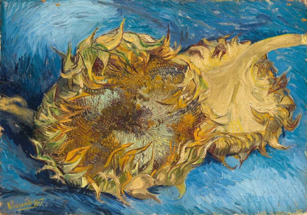 Sunflower painting by Van Gogh by the Met Museum https://www.metmuseum.org/art/collection/search/436524