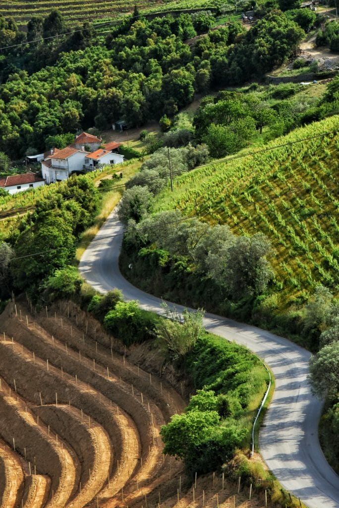 Winding road and vineyards in Duoro Valley